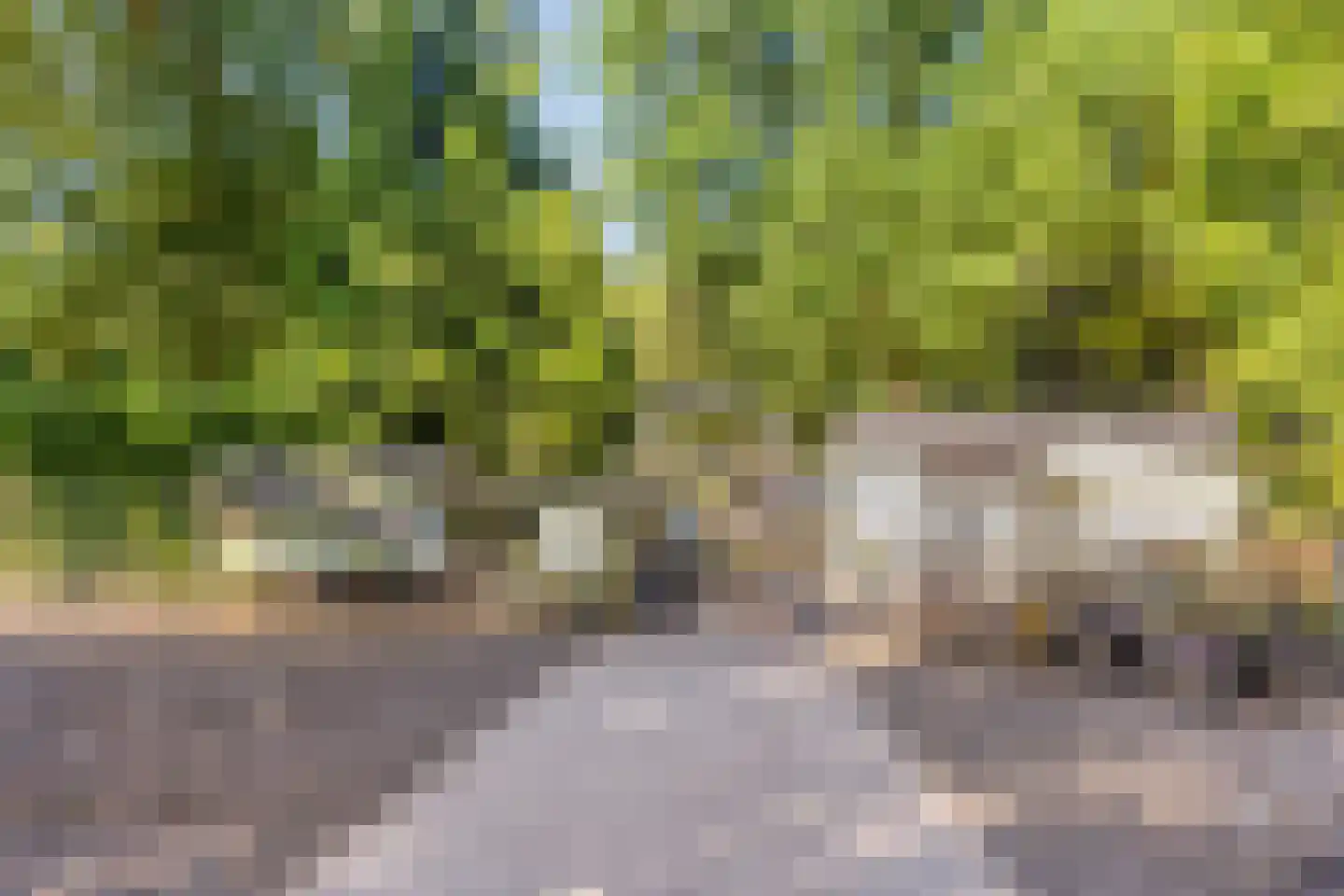 Rutgerstraat 18 Linne thumbnail 31