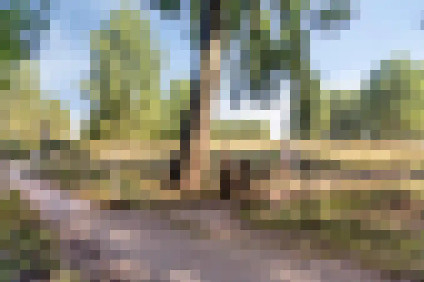 Rutgerstraat 18 Linne thumbnail 32