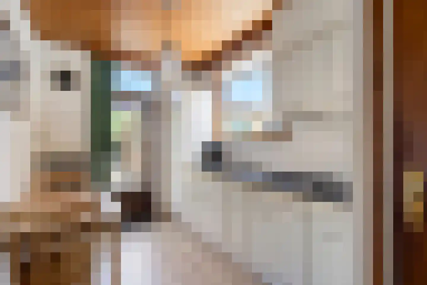 Rutgerstraat 18 Linne thumbnail 7
