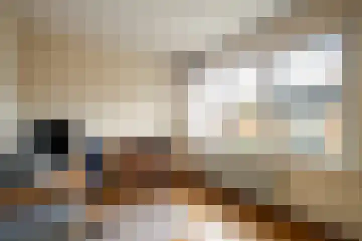 Rutgerstraat 4 Linne thumbnail 10