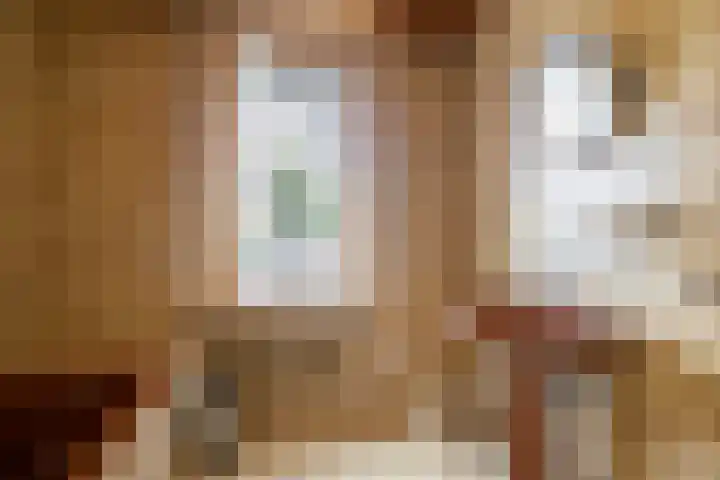 Rutgerstraat 4 Linne thumbnail 12