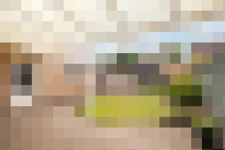 Rutgerstraat 4 Linne thumbnail 16