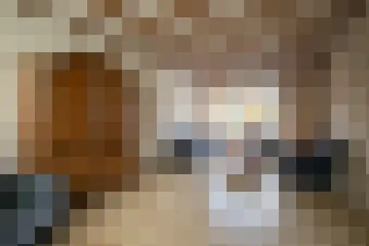 Rutgerstraat 4 Linne thumbnail 4