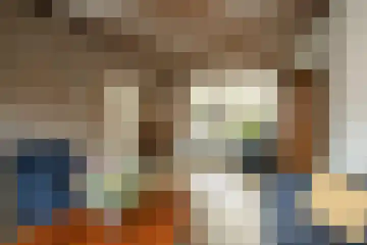 Rutgerstraat 4 Linne thumbnail 5