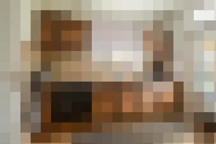 Rutgerstraat 4 Linne thumbnail 6