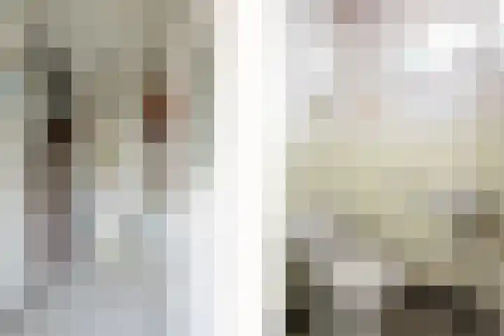 Rutgerstraat 4 Linne thumbnail 8