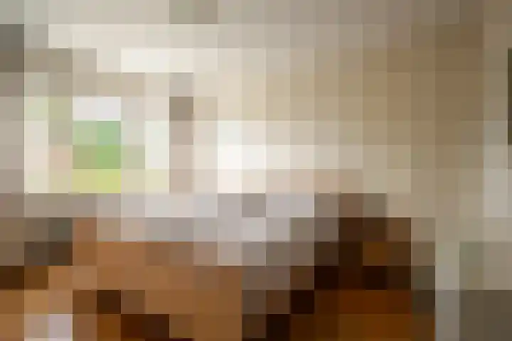 Rutgerstraat 4 Linne thumbnail 9