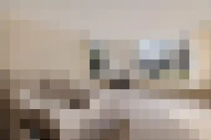 Rutgerswal 4 Aalden thumbnail 12