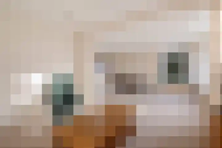 Rutgerswal 4 Aalden thumbnail 13