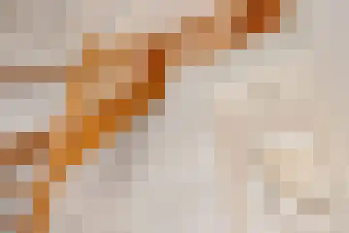 Rutgerswal 4 Aalden thumbnail 25