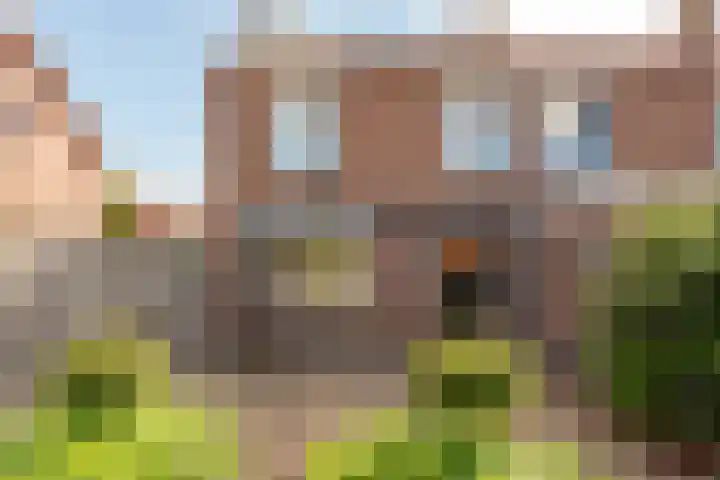 Rutgerswal 4 Aalden thumbnail 32