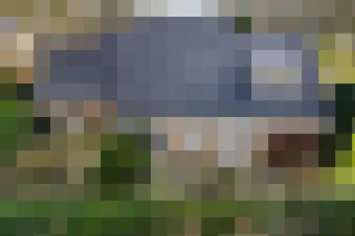 Rutgerswal 4 Aalden thumbnail 38