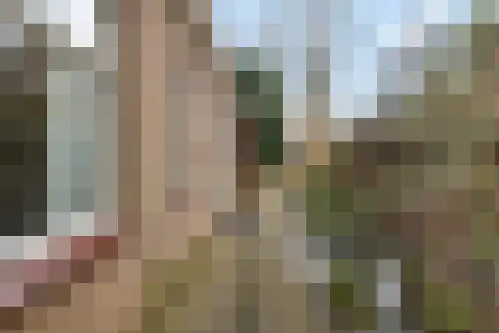 Rutgerswal 4 Aalden thumbnail 41