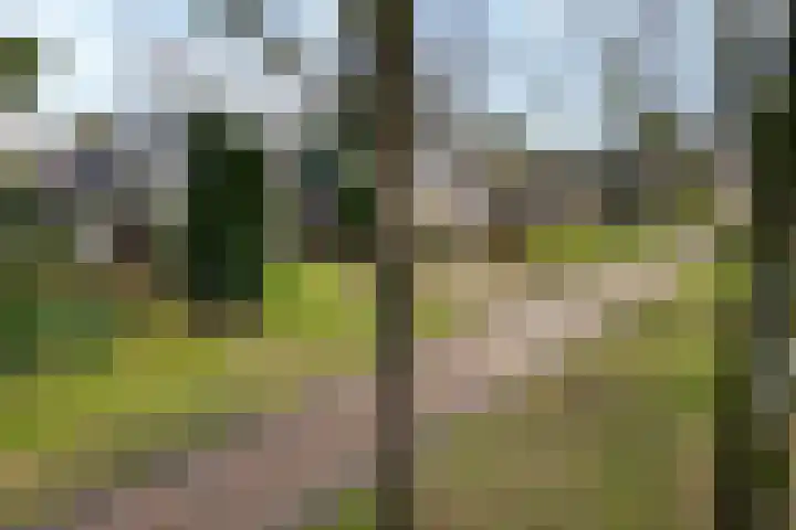 Rutgerswal 4 Aalden thumbnail 44