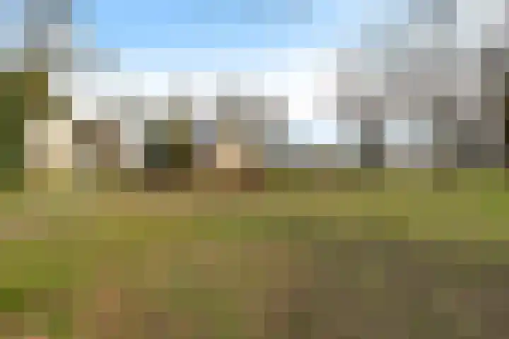 Rutgerswal 4 Aalden thumbnail 5