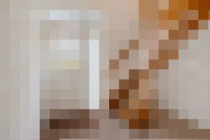 Rutgerswal 4 Aalden thumbnail 6