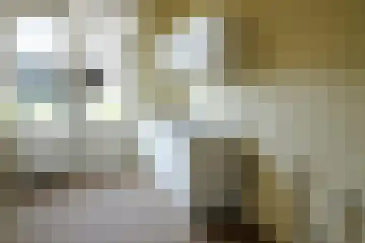 Rutgher Jacobsstraat 23 Tricht thumbnail 4