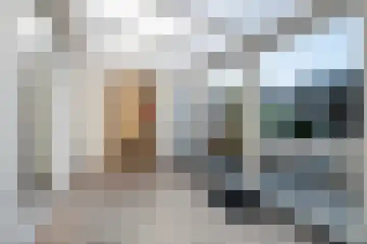 Rutgher Jacobsstraat 25 Tricht thumbnail 20