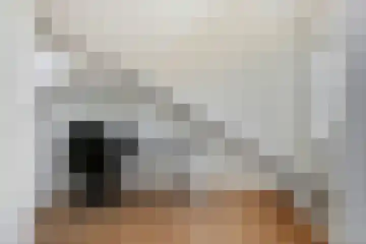 Rutgher Jacobsstraat 25 Tricht thumbnail 33