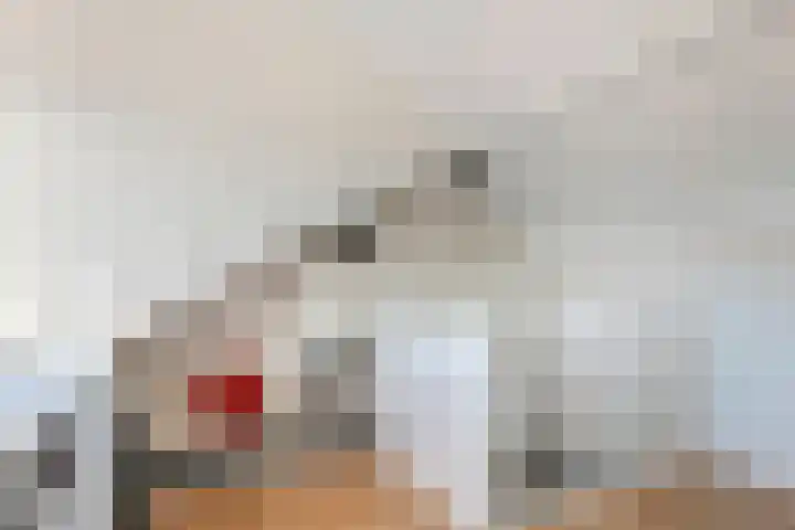 Rutgher Jacobsstraat 25 Tricht thumbnail 36