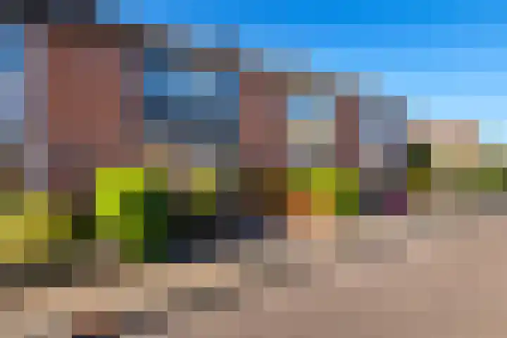 Rutgher Jacobsstraat 25 Tricht thumbnail 4