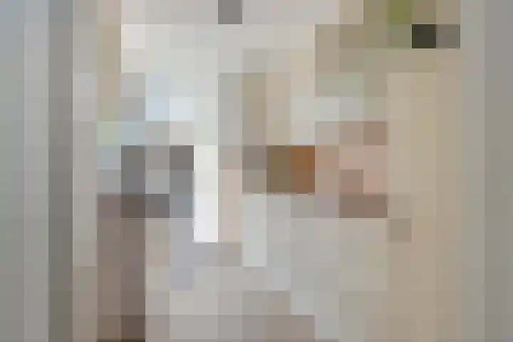 Rutgher Jacobsstraat 25 Tricht thumbnail 8