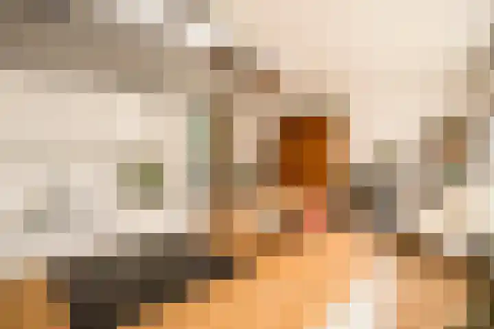 Rutherfordstraat 4 2 Amsterdam thumbnail 8