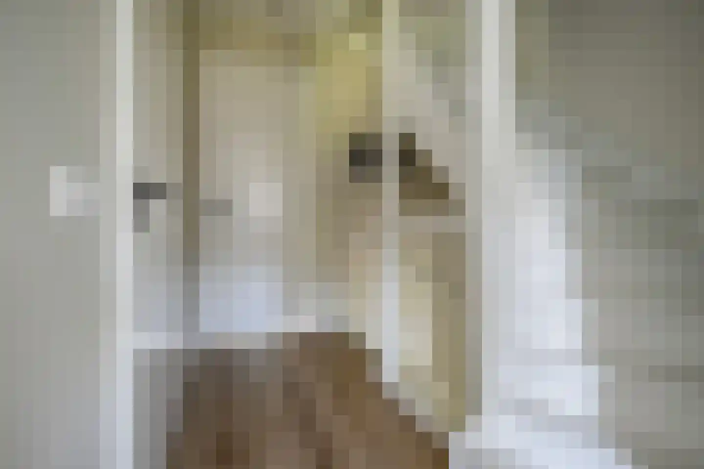 Rutherfordstraat 5 Bergschenhoek thumbnail 21