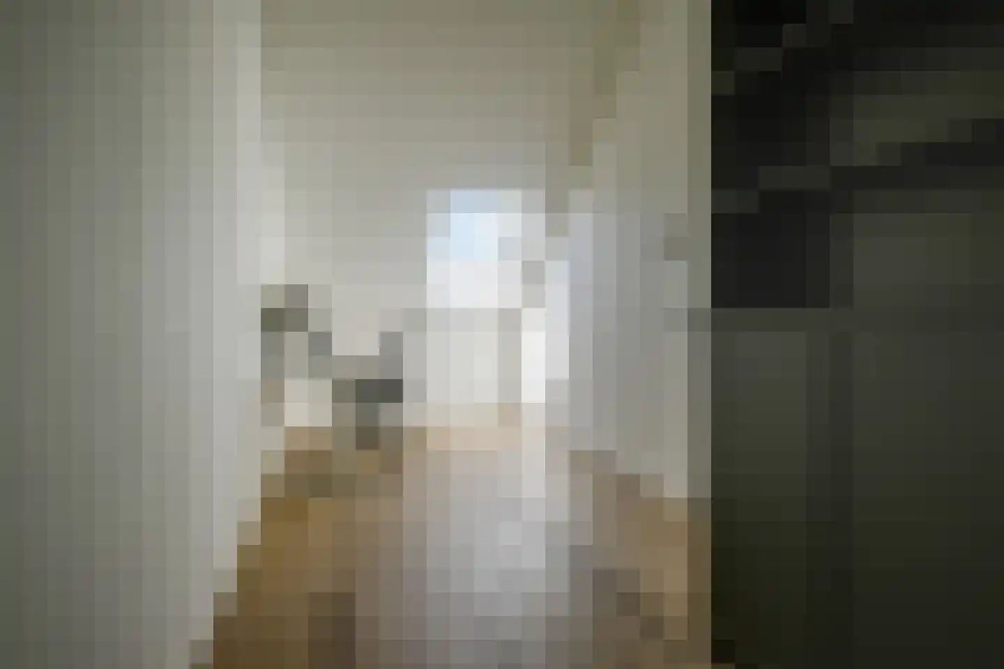 Rutherfordstraat 5 Bergschenhoek thumbnail 35