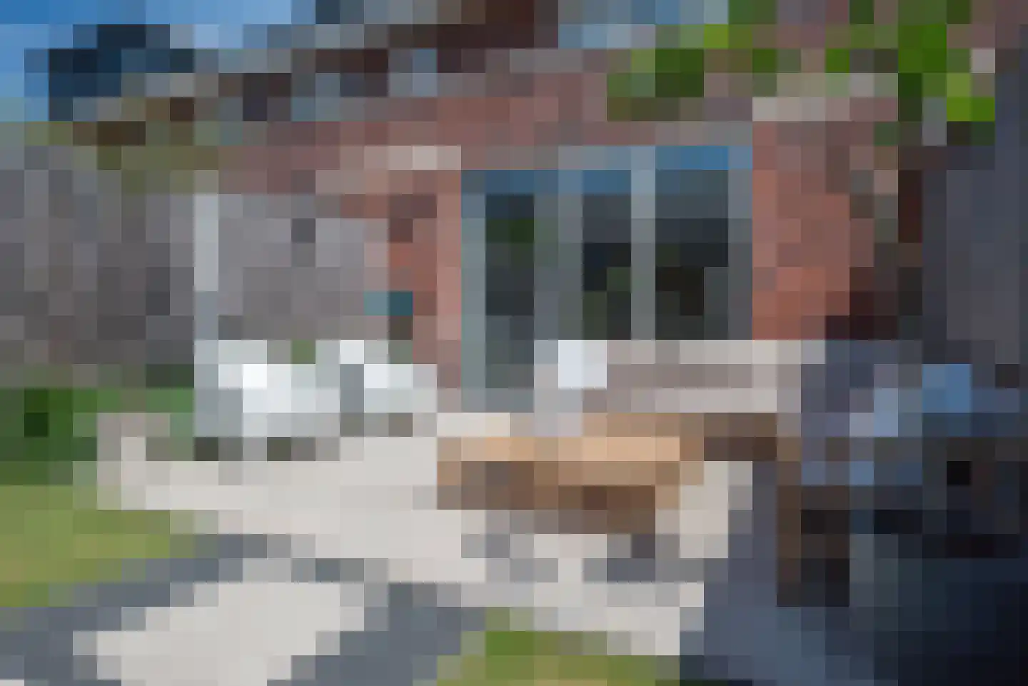 Rutherfordstraat 5 Bergschenhoek thumbnail 45