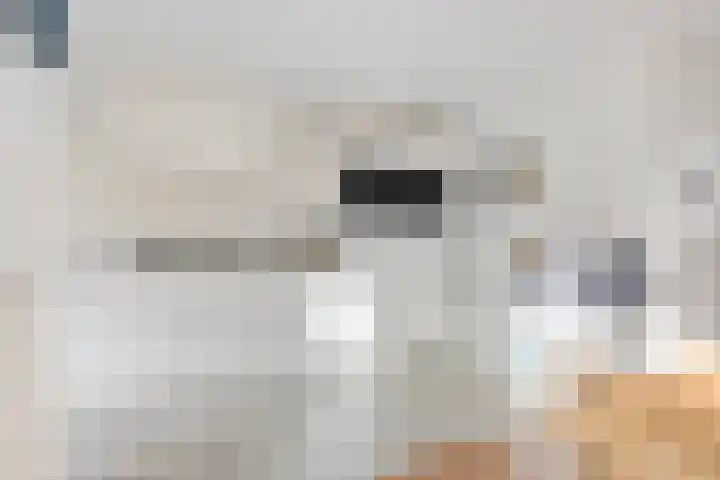 Rutkenshoeve 7 Helmond thumbnail 18