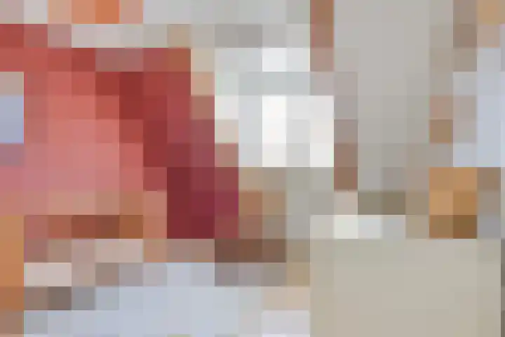 Rutkenshoeve 7 Helmond thumbnail 29