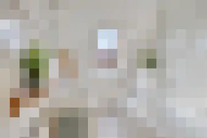 Rutkenshoeve 7 Helmond thumbnail 33
