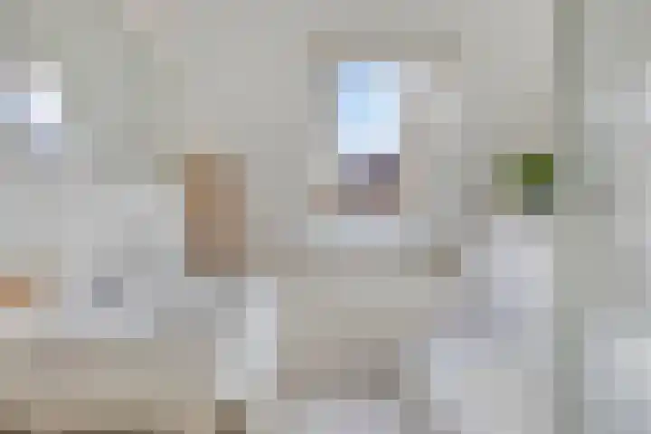 Rutkenshoeve 7 Helmond thumbnail 34
