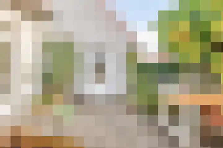 Rutkenshoeve 7 Helmond thumbnail 39