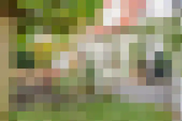 Rutkenshoeve 7 Helmond thumbnail 40
