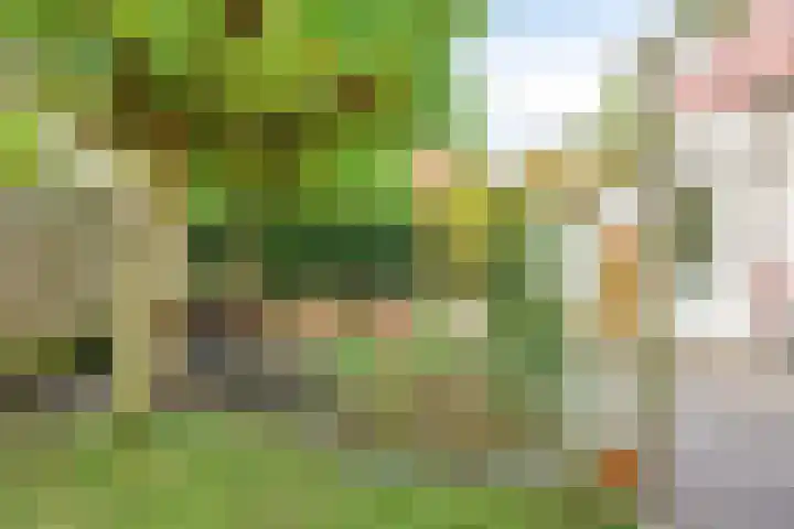 Rutkenshoeve 7 Helmond thumbnail 41
