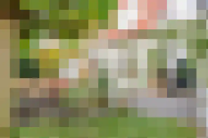 Rutkenshoeve 7 Helmond thumbnail 6