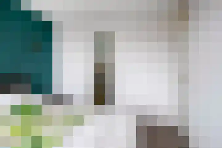 Rutsekovenstraat 33 Echt thumbnail 22