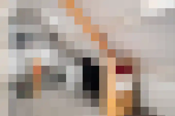 Rutsekovenstraat 33 Echt thumbnail 31