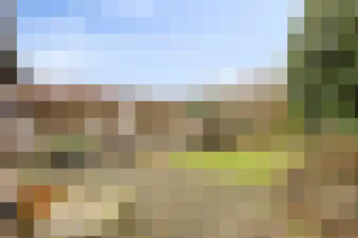Rutsekovenstraat 33 Echt thumbnail 33
