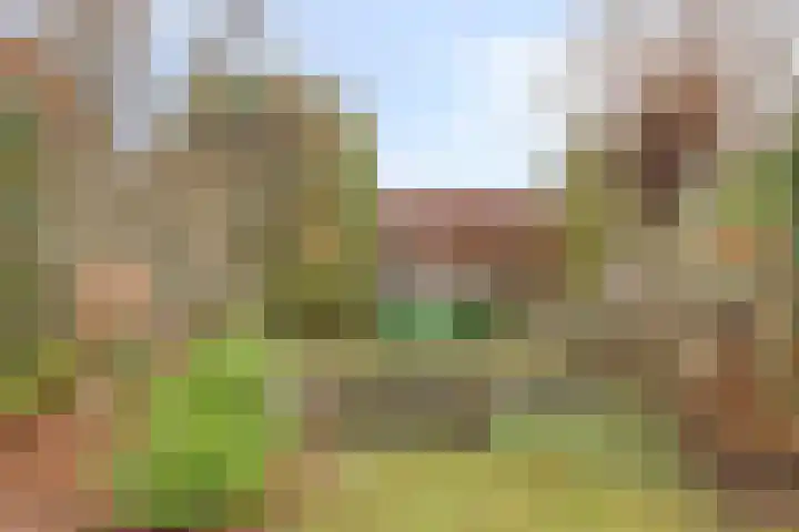 Rutsekovenstraat 33 Echt thumbnail 36
