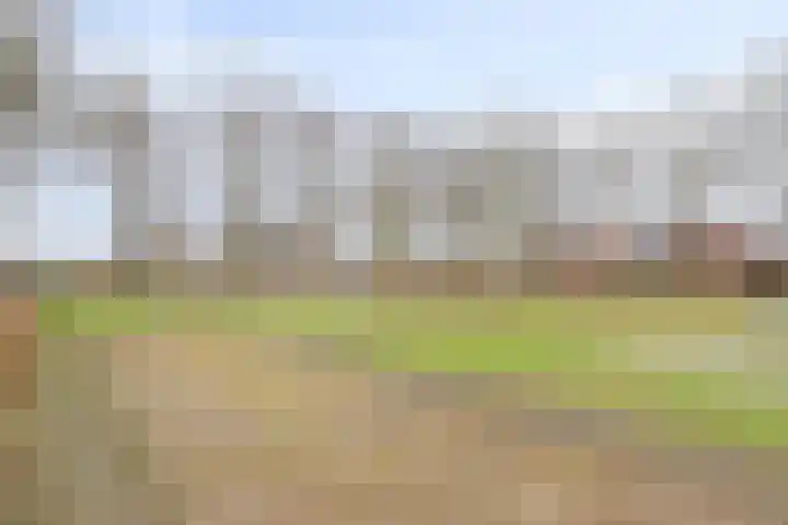 Rutsekovenstraat 33 Echt thumbnail 38