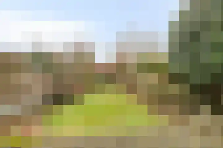 Rutsekovenstraat 33 Echt thumbnail 4