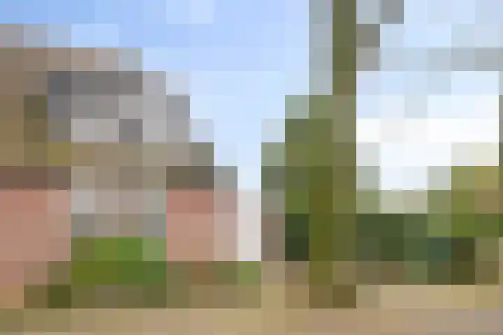 Rutsekovenstraat 33 Echt thumbnail 5