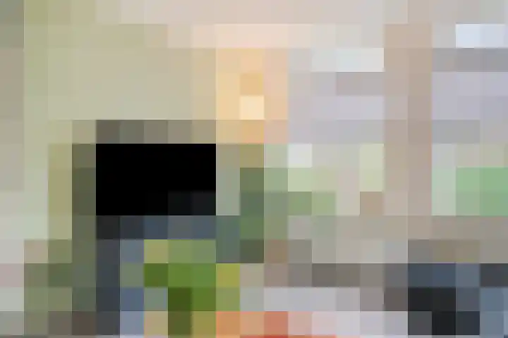 Rutsekovenstraat 33 Echt thumbnail 9