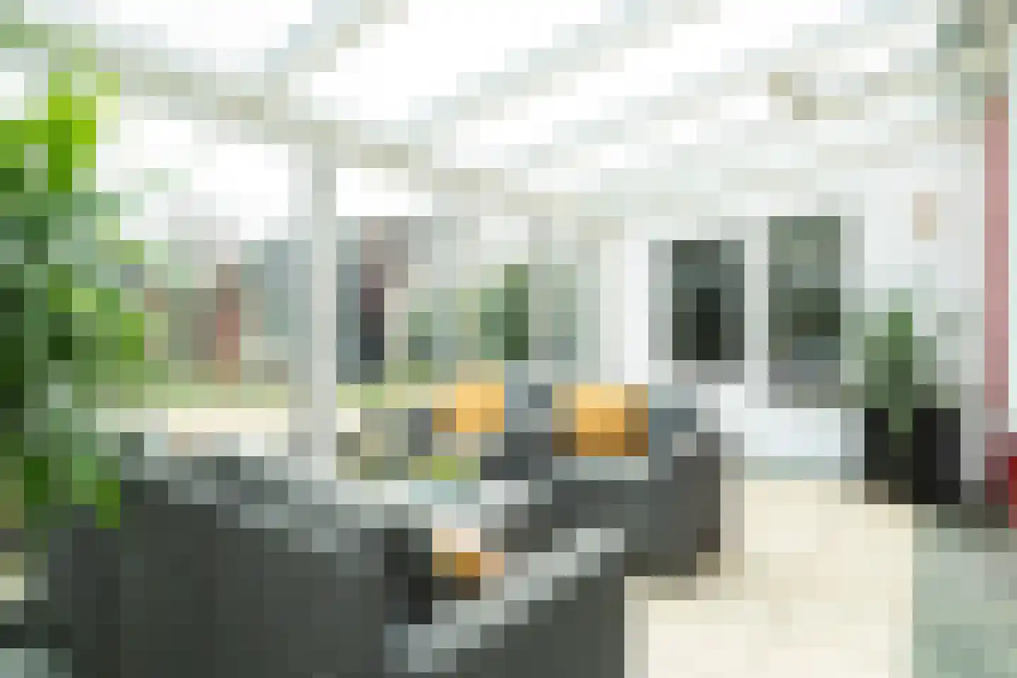 Rutselboslaan 19 Oosterhout thumbnail 17