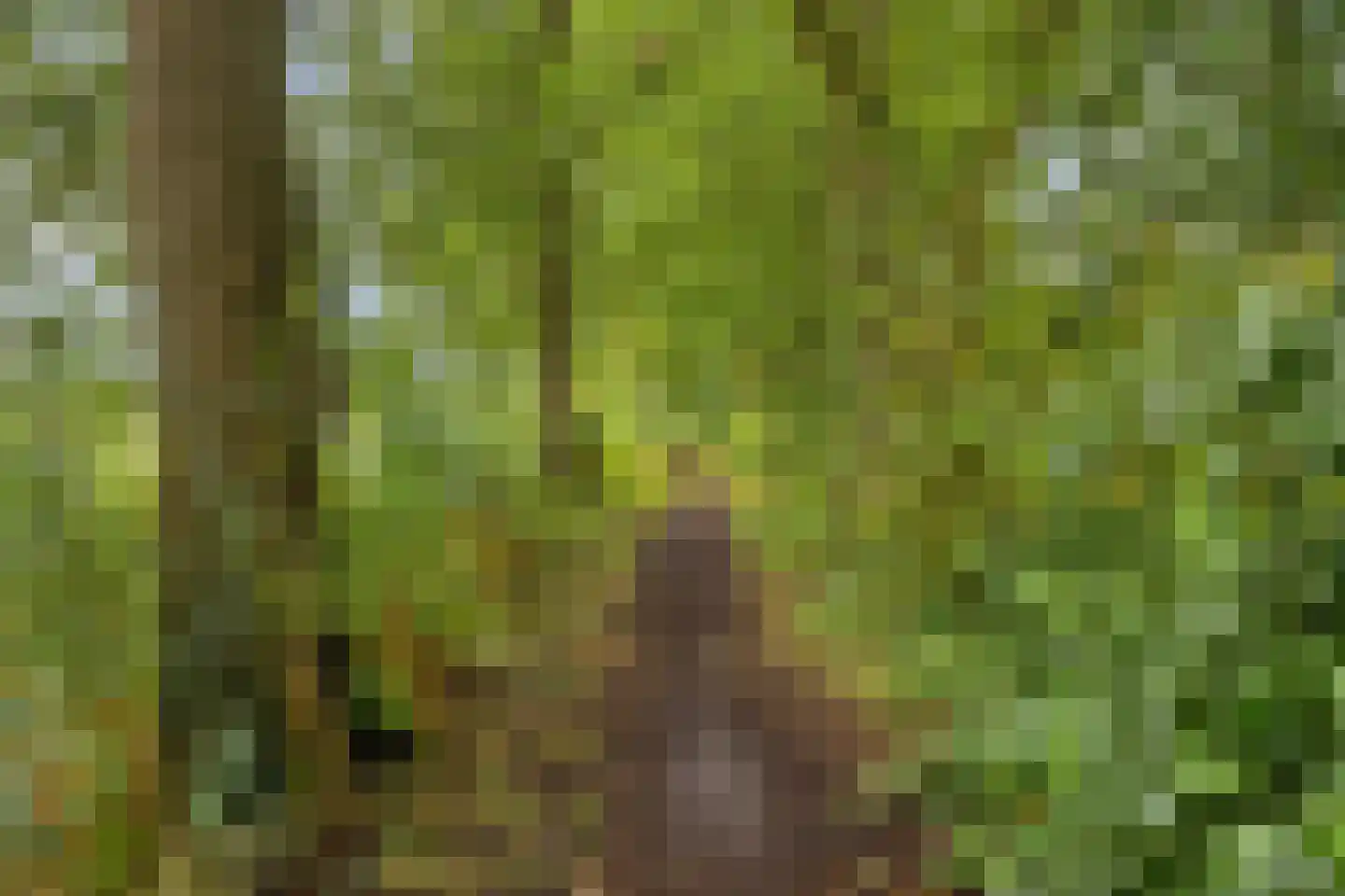 Ruurd Visserstraat 34 Achterveld thumbnail 35