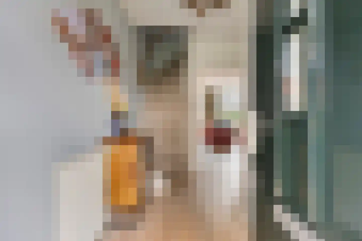 Ruurd Visserstraat 34 Achterveld thumbnail 7