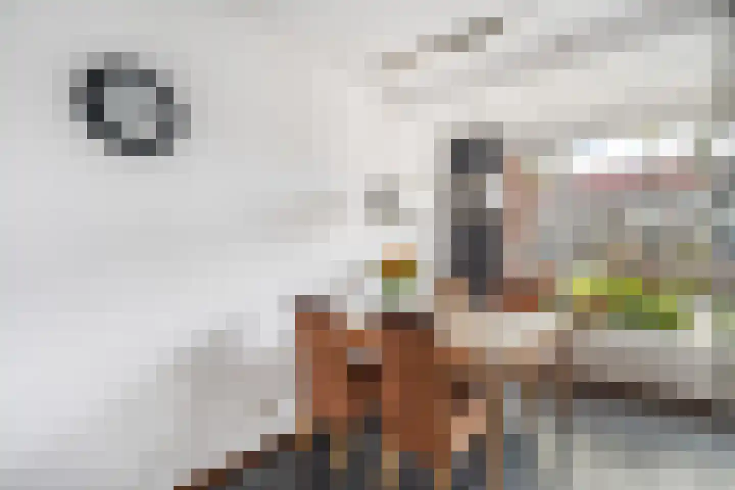 Ruurd Visserstraat 56 Achterveld thumbnail 12